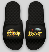 Image 1 of Genesis & Exodus | Exclusive Slides