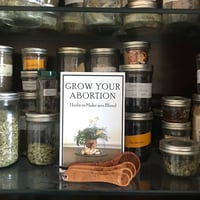 Image 2 of Grow Your Abortion Zine 