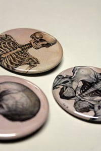 Image 1 of Skeleton, Pelvis, Skull - Pinback Button LARGE 2.25" Inch - Halloween buttons