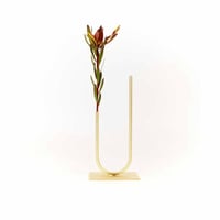 ACV Studio Uneven U vase Narrow width 