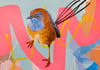 JK Colab - Emu Wren