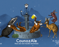 Counoz'Ale 12x33cl