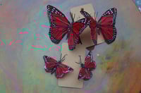 Image 1 of Butterfly Earrings