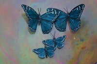 Image 2 of Butterfly Earrings