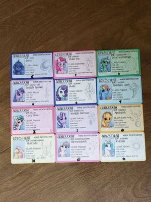 Pony ID - License