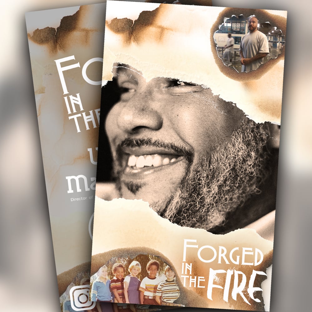Image of Forged in the Fire - (E)Book