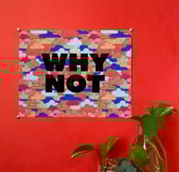 Image 3 of Why Not - 11 x 14 print