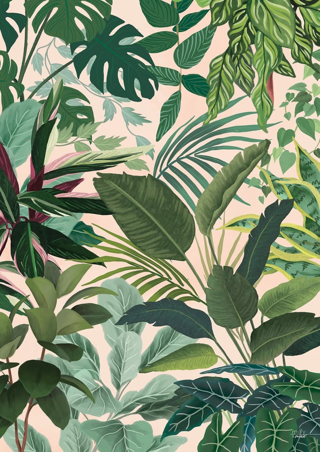 Jungalow - Fuzzy Peach