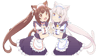 chocola and vanilla 