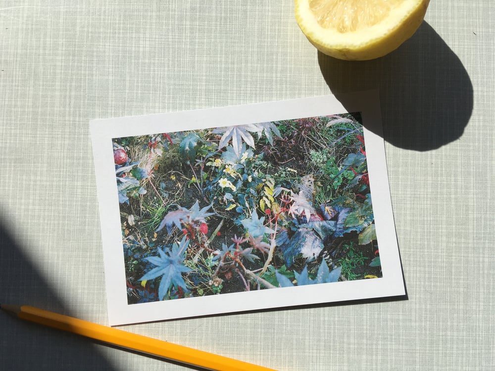 Image of Set of Postcards „Best Days“