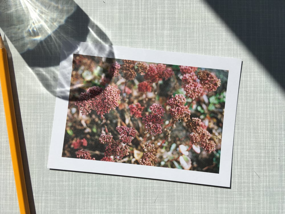 Image of Postkarten-Set „Best Days“