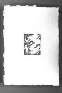 DISPERSED, Anna Levenson (2021)