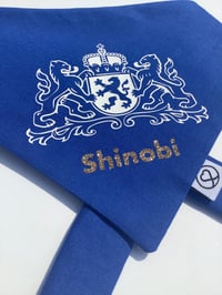 Image 3 of Design Your Own Bandana 