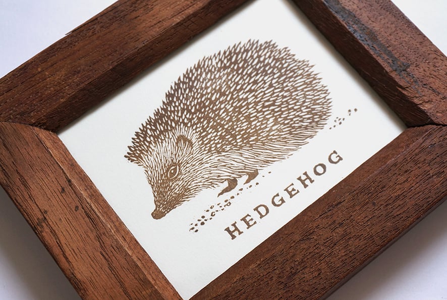 Image of Hedgehog - Linocut