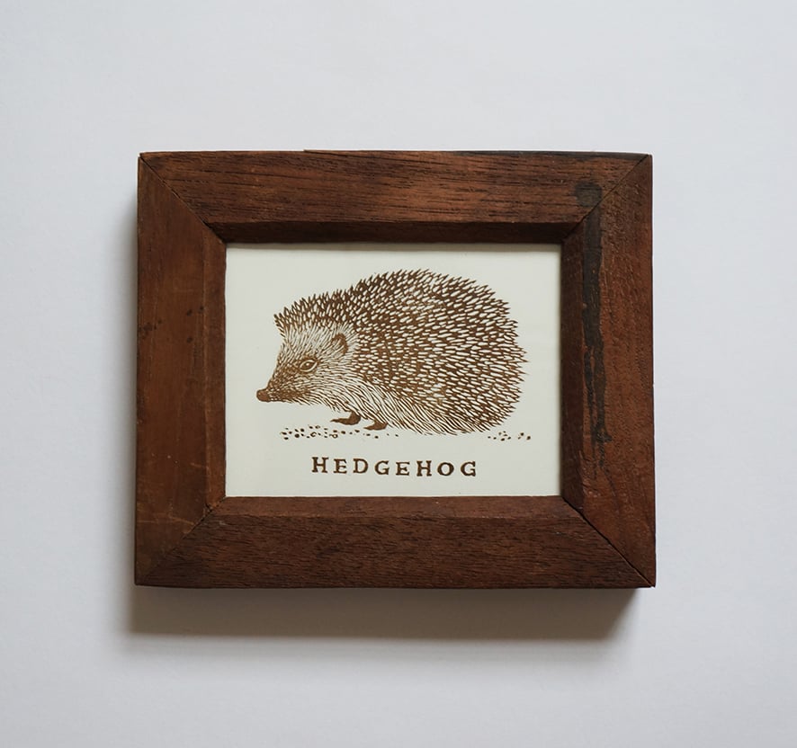Image of Hedgehog - Linocut