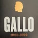Image of (Vincent Gallo) (GALLO 1962-1999)
