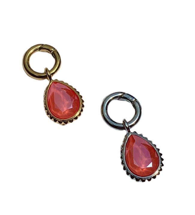 Queen Bee Coral Reef