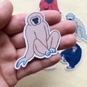 Primate Stickers (Charity)