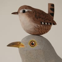Image 5 of Cuckoo with 'mum'.