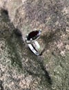 Almandine Garnet Crosshatch Single Band Ring (#1120)