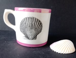 Shell cup