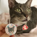 Don't Shop, Adopt! Badge (Cat)