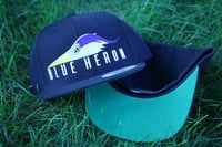Blue Heron Snap Back