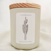 Saguaro Rib | Amber Candle 12 oz