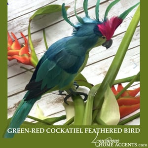 Image of Green and Red Cockatiel Feathered Bird