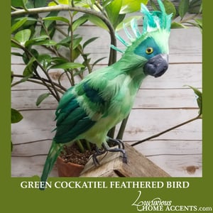 Image of Green Cockatiel Feathered Bird