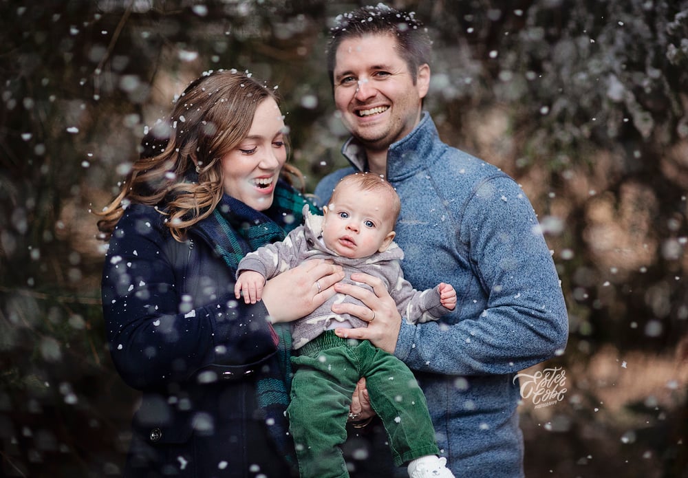 Image of Snow Minis // Dec 10 - Last mini of 2023!