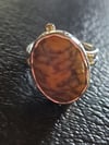 Dendritic Opal Scallop Bezel Double Band Ring (#1015)