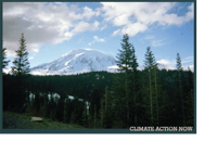 Image 2 of Climate Action Now Rainier Crop Top