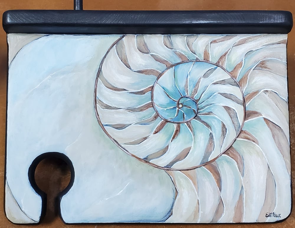 Image of Nautilus Shell by Steve and Esther Scott