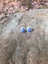 Sodalite Round Rope Post Earrings (#1157)