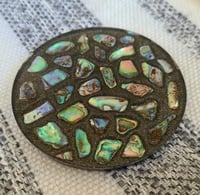 Image 2 of Paua Shell Coasters
