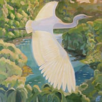 Soaring Egret