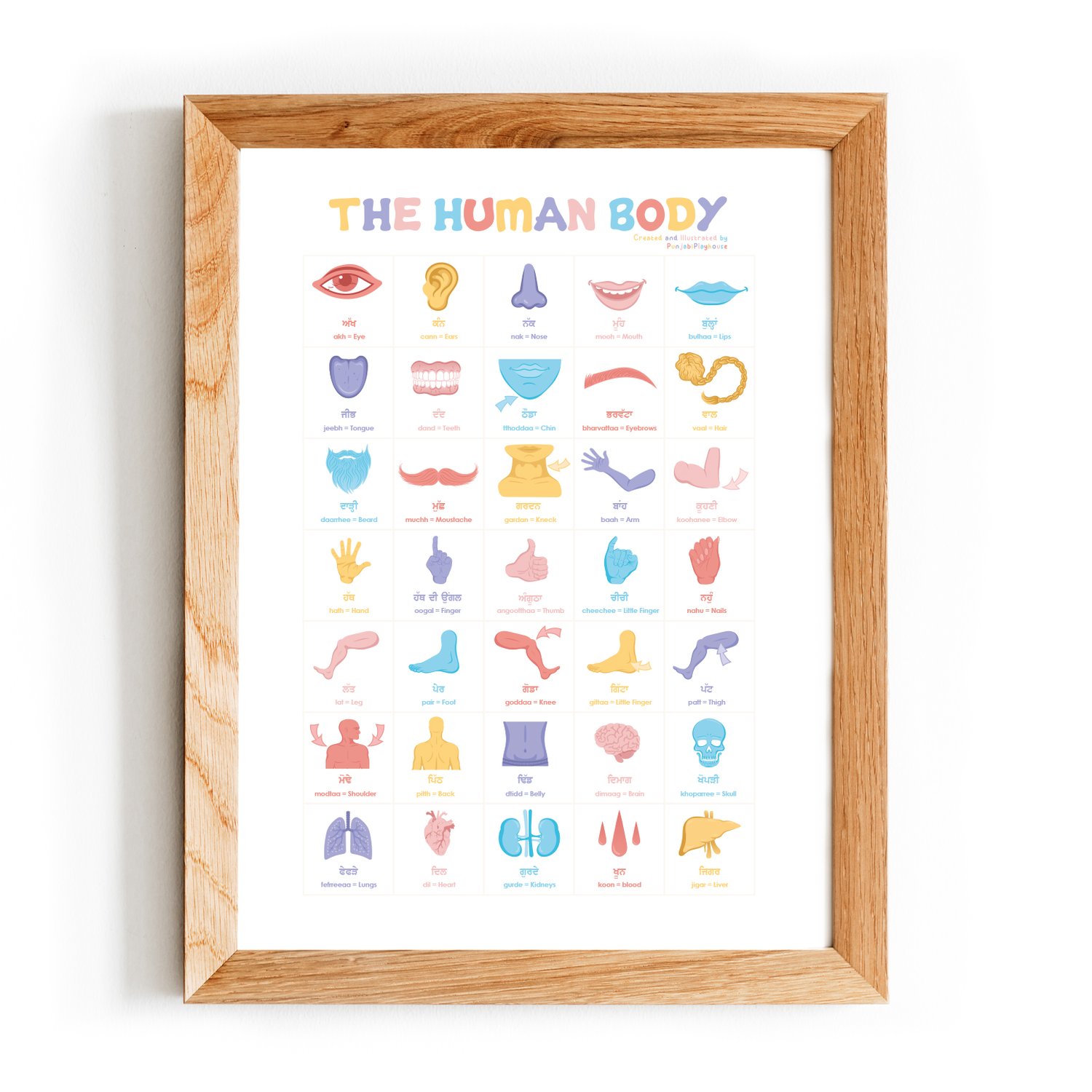 The Human Body