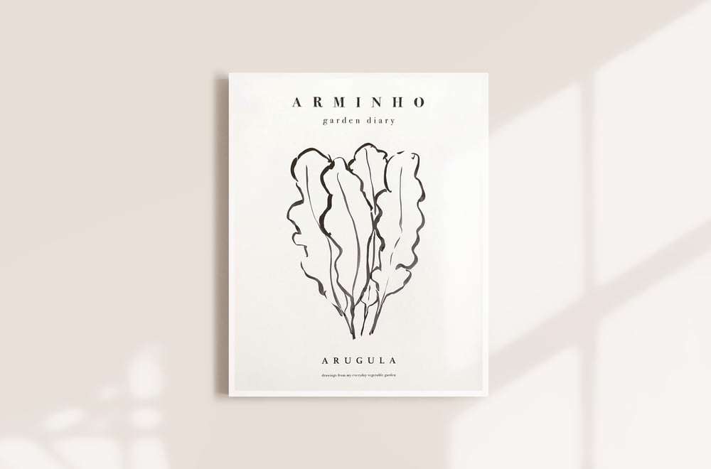 Image of Arugula - Garden vegetables by Arminho