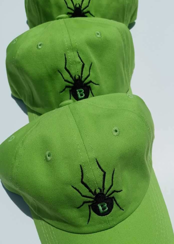 Image of BLKWDW LIME DAD HAT!!