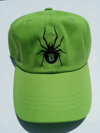 Image of BLKWDW LIME DAD HAT!!