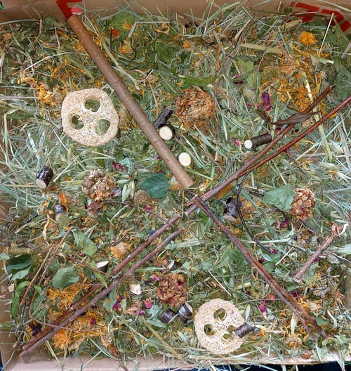 Image of Pizza forage box (in an actual 15 inch pizza box!!) (FAKEAWAY RANGE)