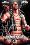 WWE STONE COLD WM13 - METALLIC AP  (MOND0)