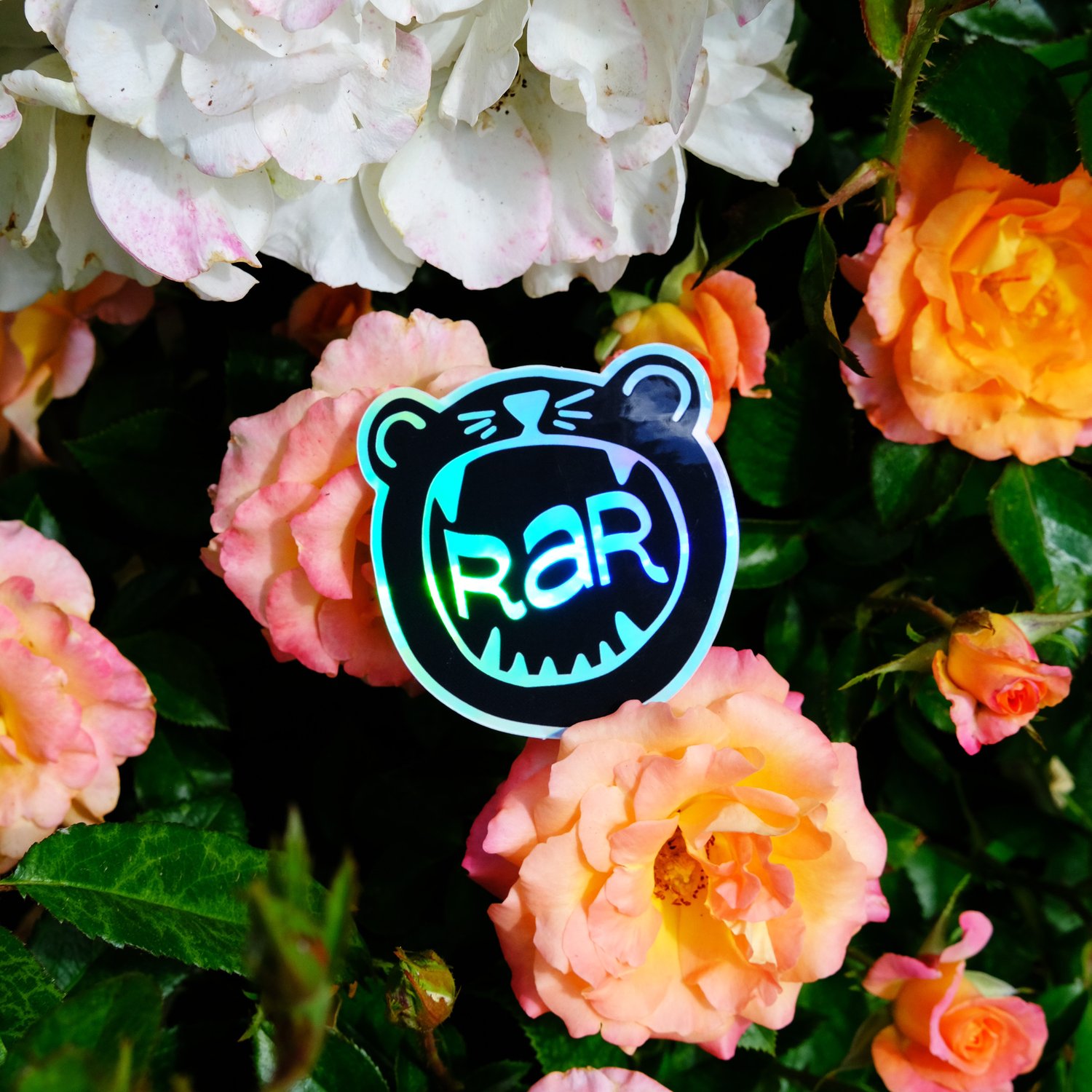 Image of RAR Rawr Sticker