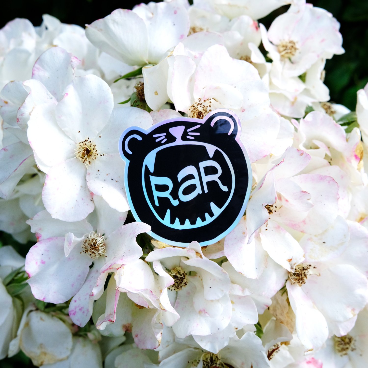 Image of RAR Rawr Sticker