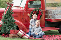 Image 1 of 10/23/21 Holiday Mini Sessions - 20 minutes - 10 images - $175