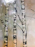 Original Canvas - Five Birches - 50cm x 50cm