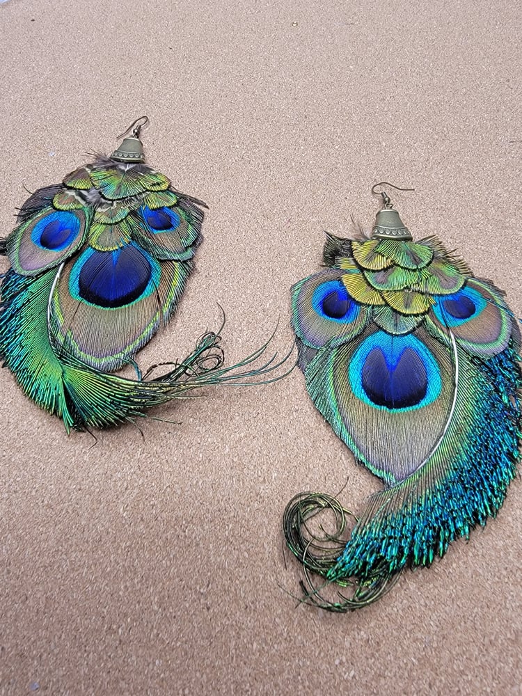 Image of Paradise Peacock Earrings 