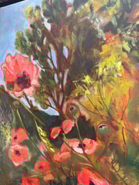 Image 2 of Wind blown Easky Poppies 