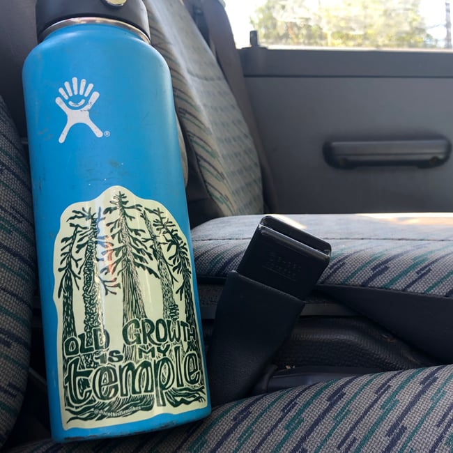 old growth is my temple — sticker